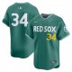 Men's Boston Red Sox #34 David Ortiz Nike Green 2025 City Connect Retired Player Jersey