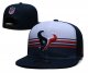 Houston Texans Black and White Cap